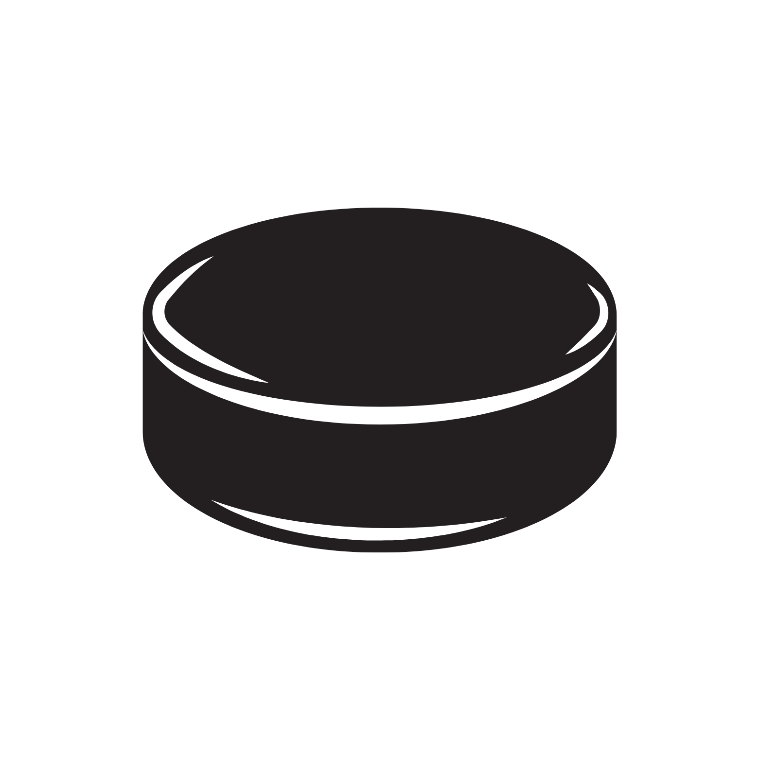 Hockey Puck